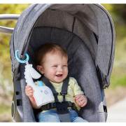 Fisher Price Müzikli Uyku Arkadaşı Zürafa FGG90